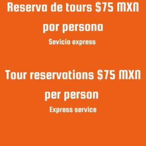 Pago por servicios de gestión de reserva de tours